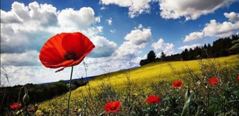 Si do të jetë moti në Kosovë nga e shtuna deri të mërkurën?