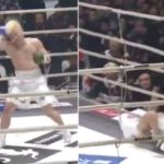 101360225c2a51879a402a959a1fc09d_1546269518-6090593