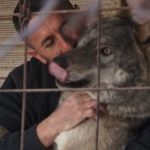 gja_1546026698-3039630