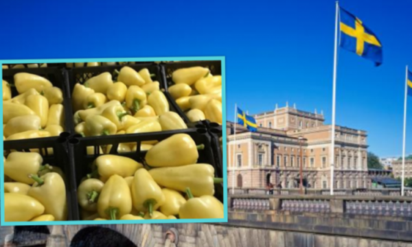 Somborkat e Kosovës shiten edhe në Suedi: Ja sa kushton 1 kg