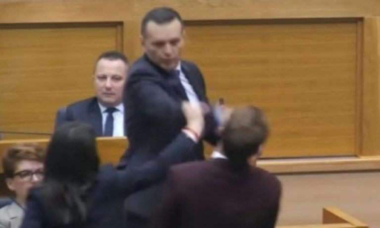 Situatë e paparë në Parlament: “Ulu majmun” – ministri godet shuplakë deputetin