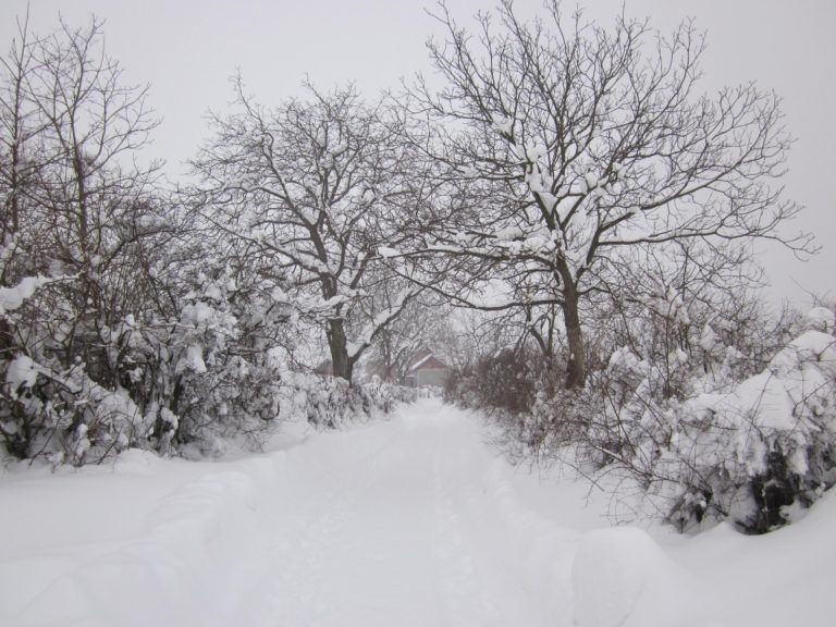Ja kur pritet të bie bora e parë në Kosovë këtë vit