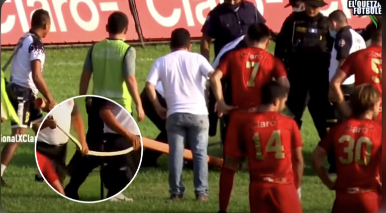 Momenti kur gjarpëri 1.5 metra futet në fushë, ndërpritet ndeshjen