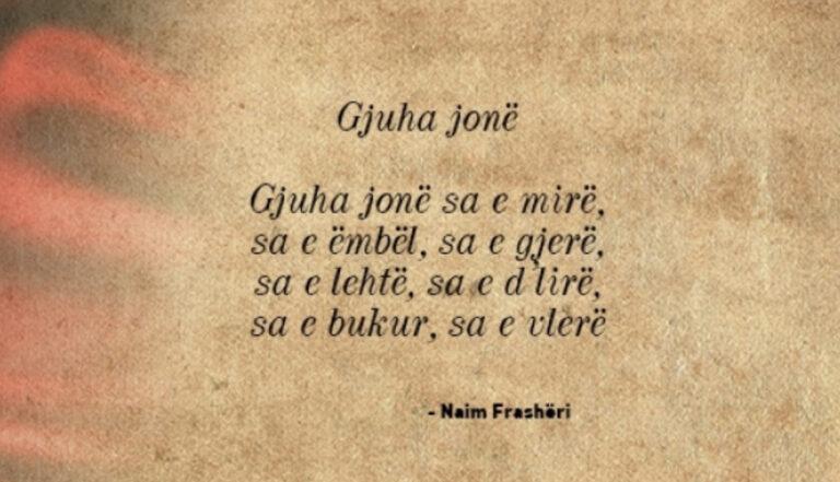 Gjuha Shqipe në rrezik: Fjalori i ka 46 mijë fjalë, 500 mijë të tjera janë futur pa u studiuar