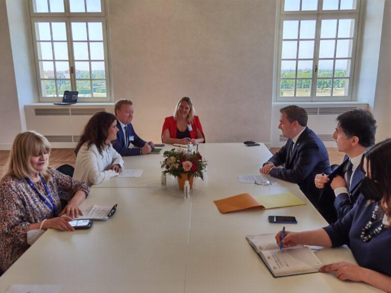 Ministri serb shkon në Torino, lobon kundër anëtarësimit të Kosovës në KiE